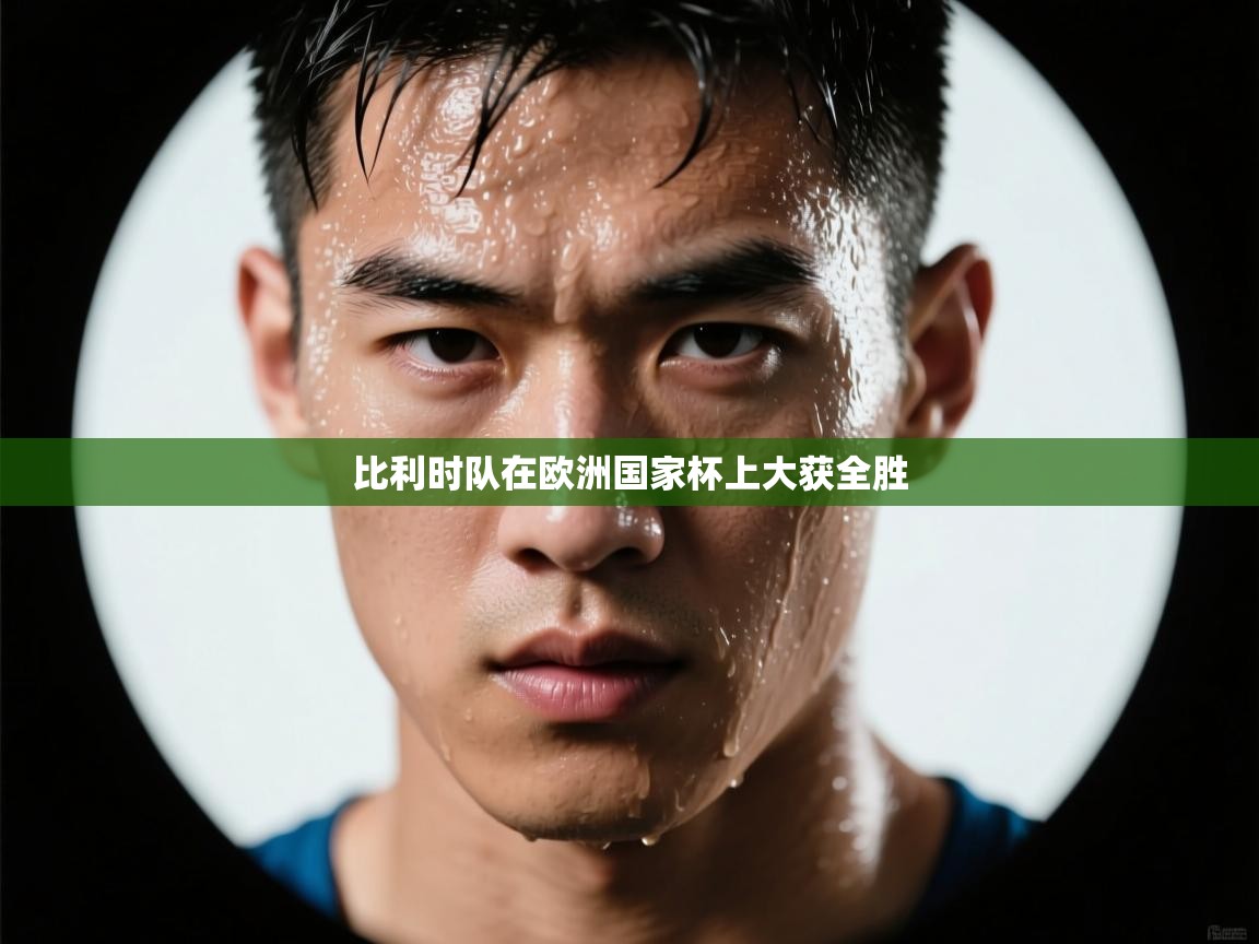 比利时队在欧洲国家杯上大获全胜 第2张