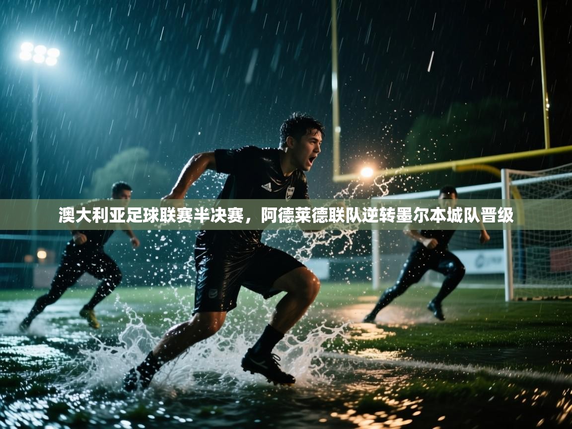 澳大利亚足球联赛半决赛，阿德莱德联队逆转墨尔本城队晋级  第2张