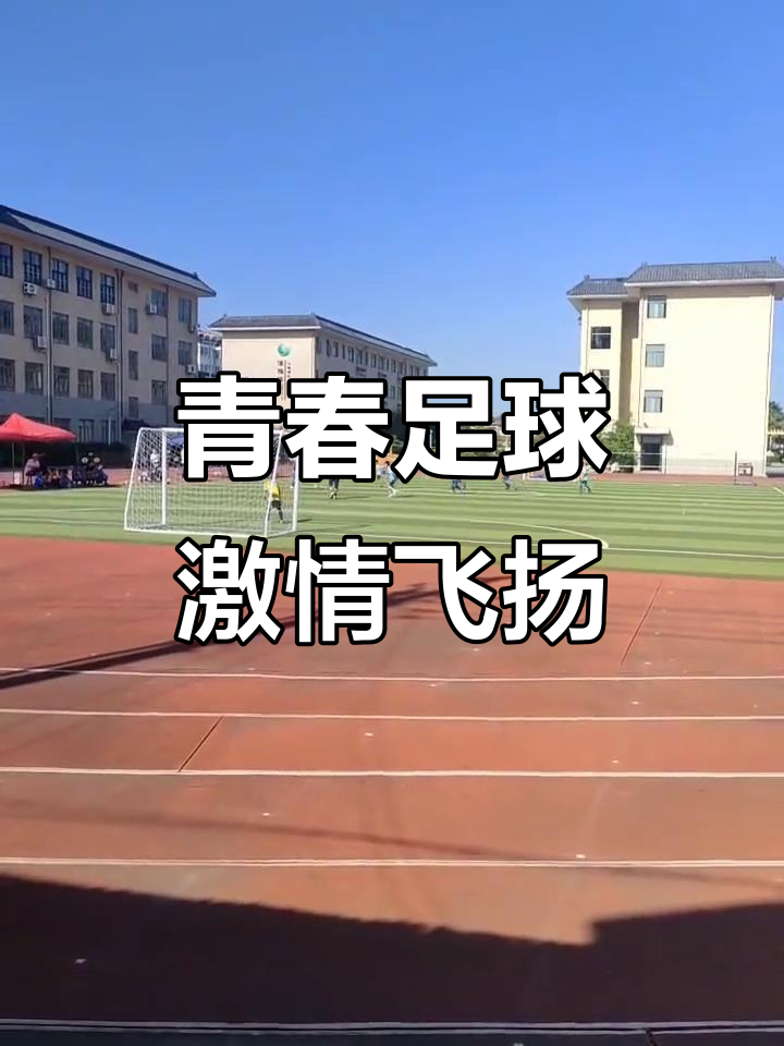 坚韧拼搏,攀登高峰,足球赛场燃烧激情 坚韧拼搏,攀登高峰,足球赛场燃烧激情