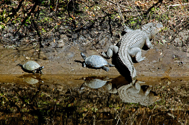爱游戏培训-南美队意外败北，陷入泥潭！